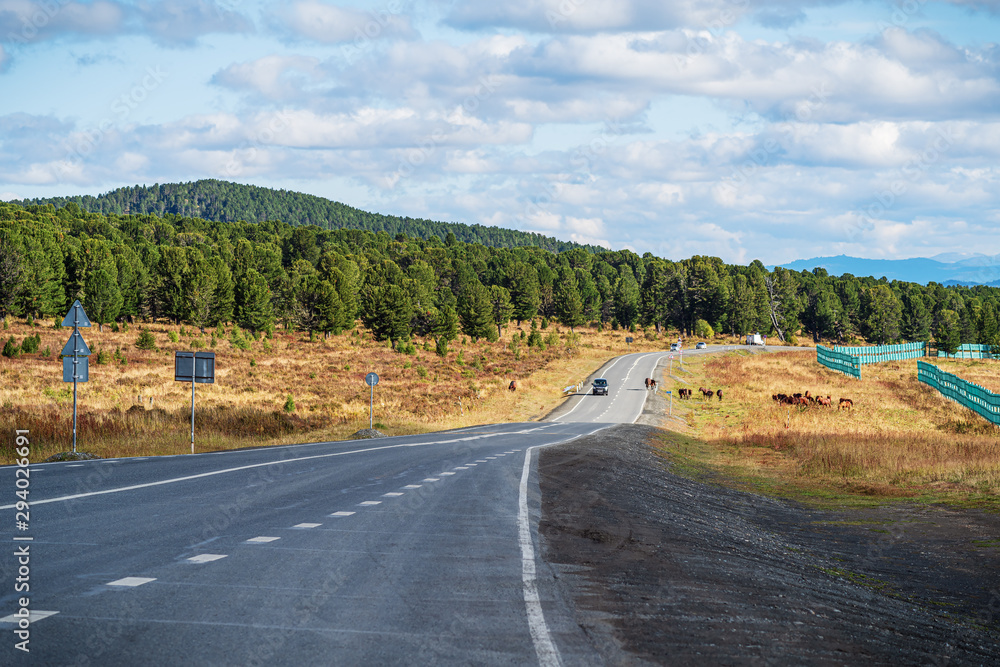 Fotografía Highway through the Seminsky Pass