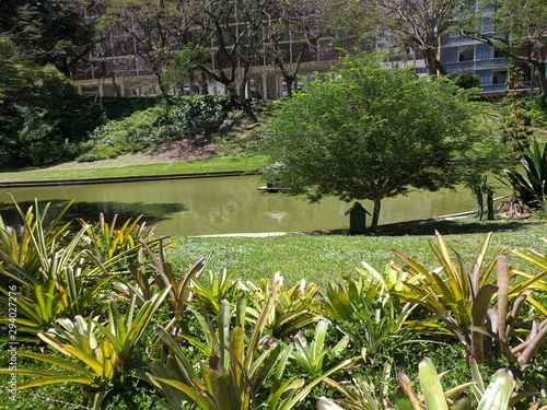 Lake in Guinle Park photo