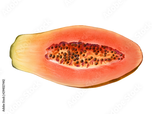 Papaya Pencil Illustration Isolated on White photo