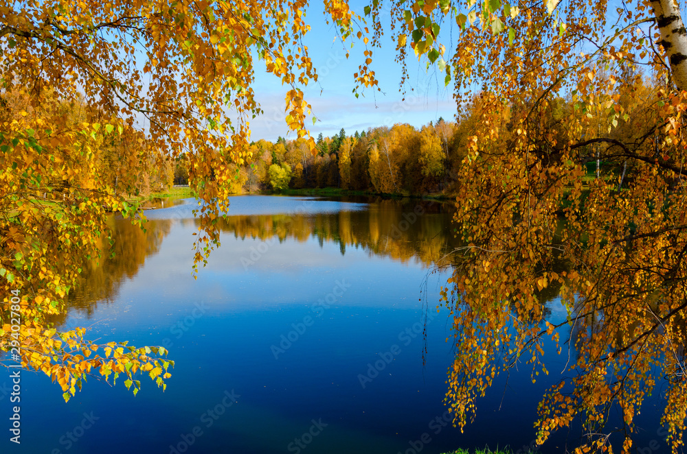 Obraz premium Beautiful sunny autumn landscape with pond in park and trees with yellow autumnal foliage