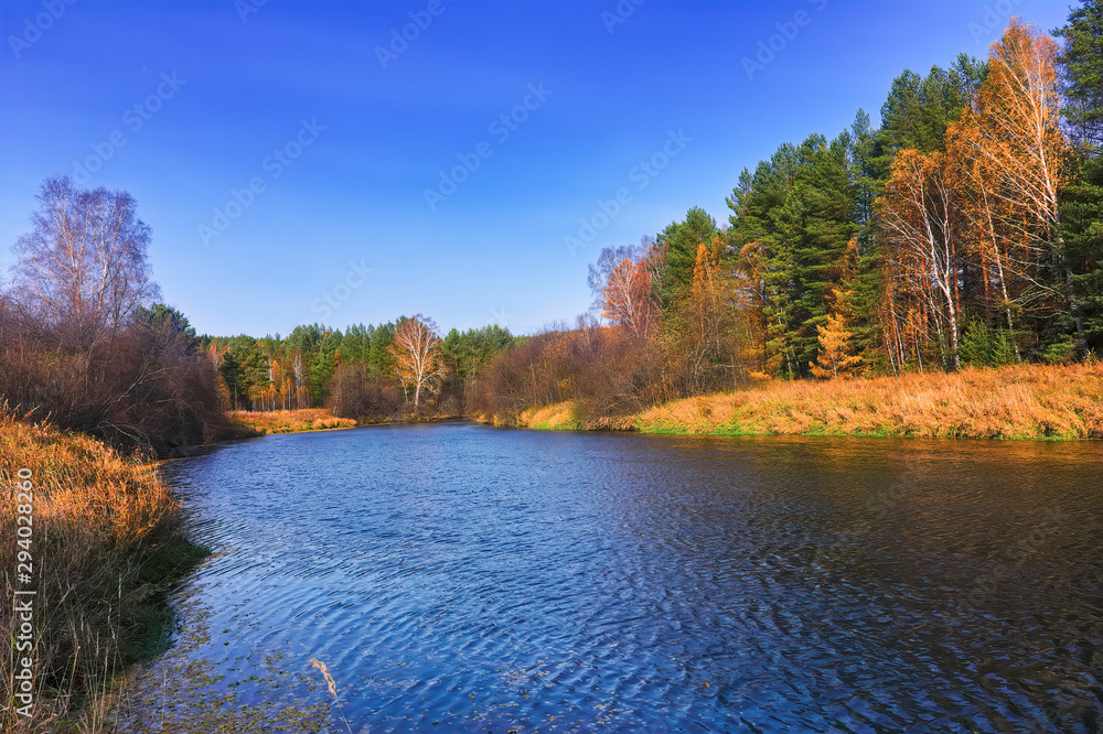 Autumn landscape on the banks of a forest river on a sunny warm day.