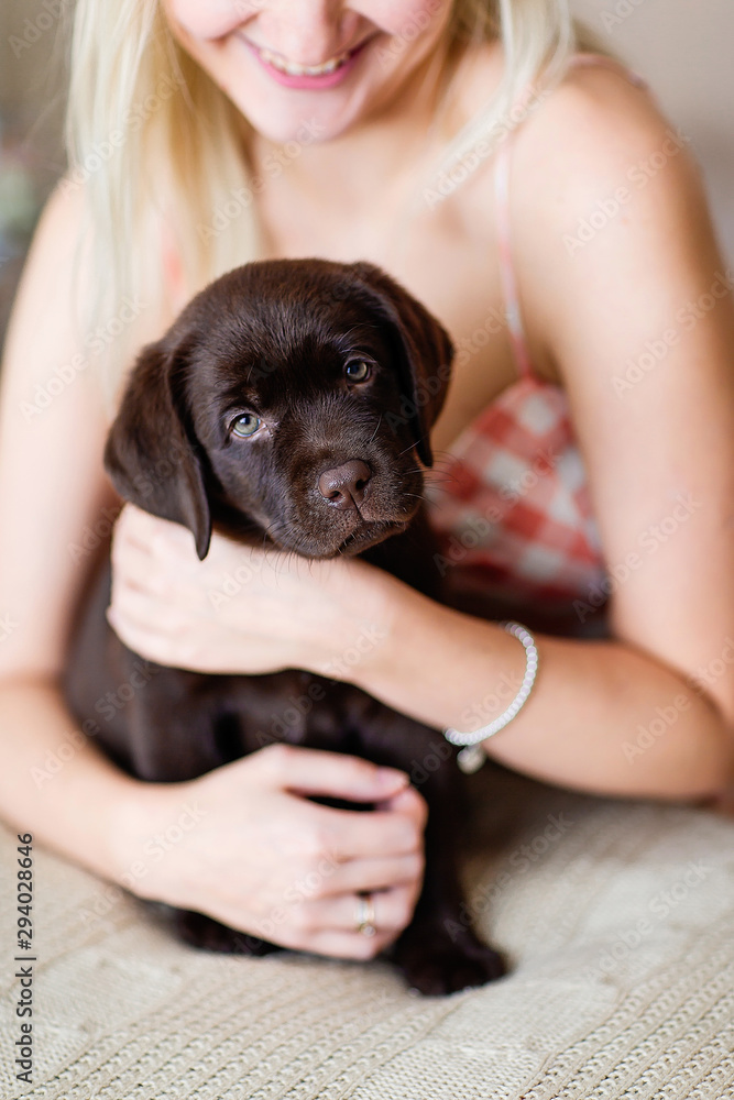 Φωτογραφία blonde girl plays with a chocolate colored Labrador puppy in a room at home