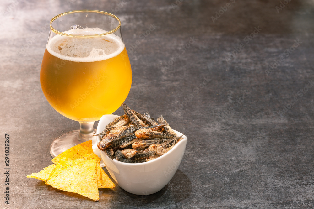 Insect snacks served with beer