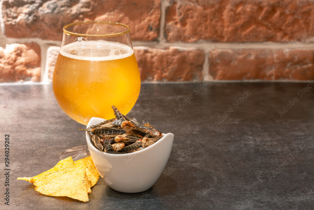 Insect snacks served with beer