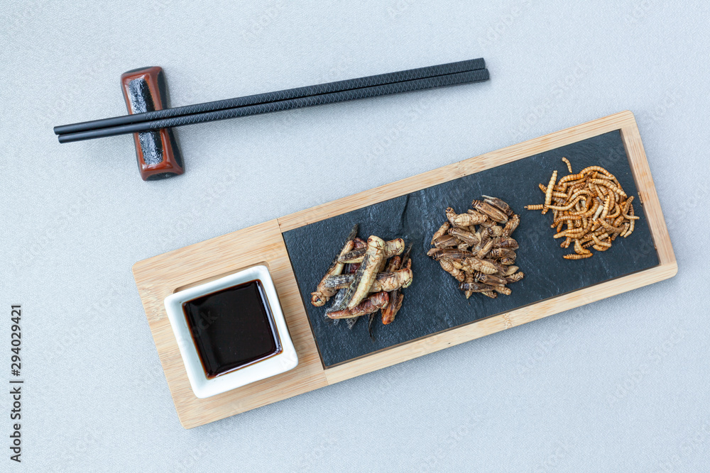 Insect food