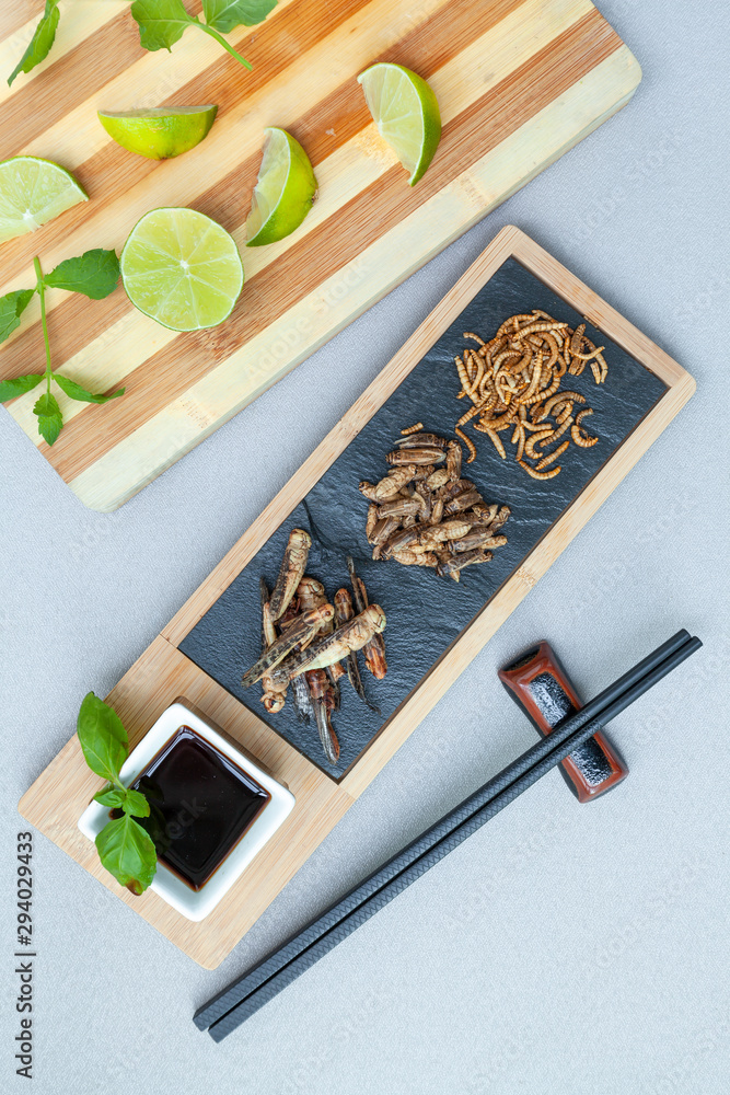 Insect food