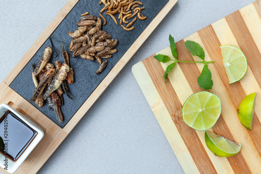 Insect food