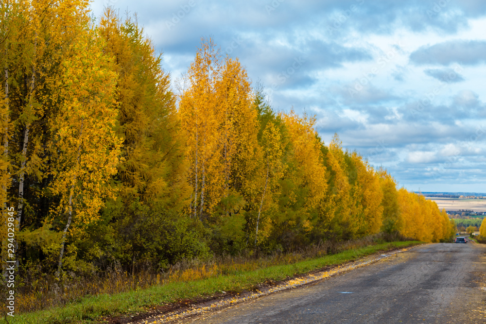 the road in the Russian Outback the road in the Russian Outback Golden autumn, filmed on a cloudy day in Chuvashia