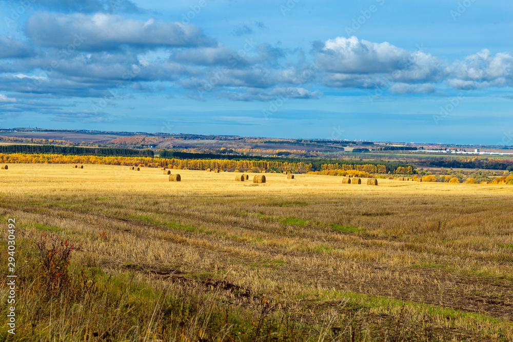 rural landscape in Chuvashia Golden autumn with a view of the city Novocheboksarsk, shot on a cloudy day