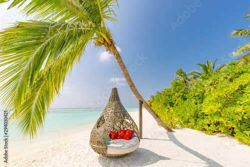 Fototapeta Naklejka Na Ścianę i Meble -  Beautiful tropical Maldives beach under cloudy sky with swings or hammock on coconut palm. Luxury vacation concept