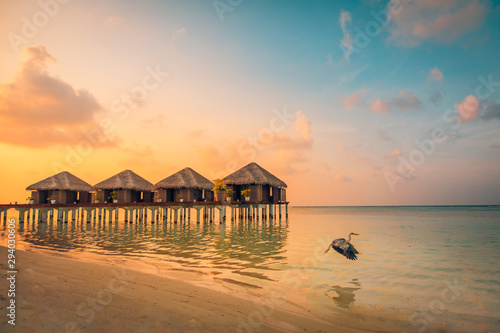 Amazing sunset landscape with bird flying  beautiful island beach. Luxury water villas over sunset light rays. Summer beach landscape  Maldives islands