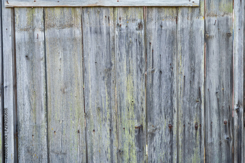 an old plank surface taken on a Sunny autumn day