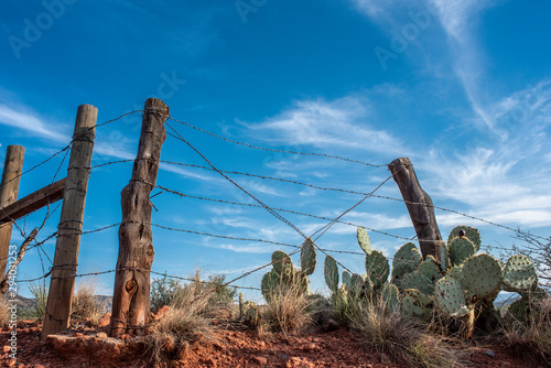 Barbed Wire Fence photo