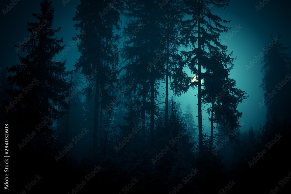 Obraz premium Full moon through the spruce trees in magic mystery night forest. Halloween backdrop.