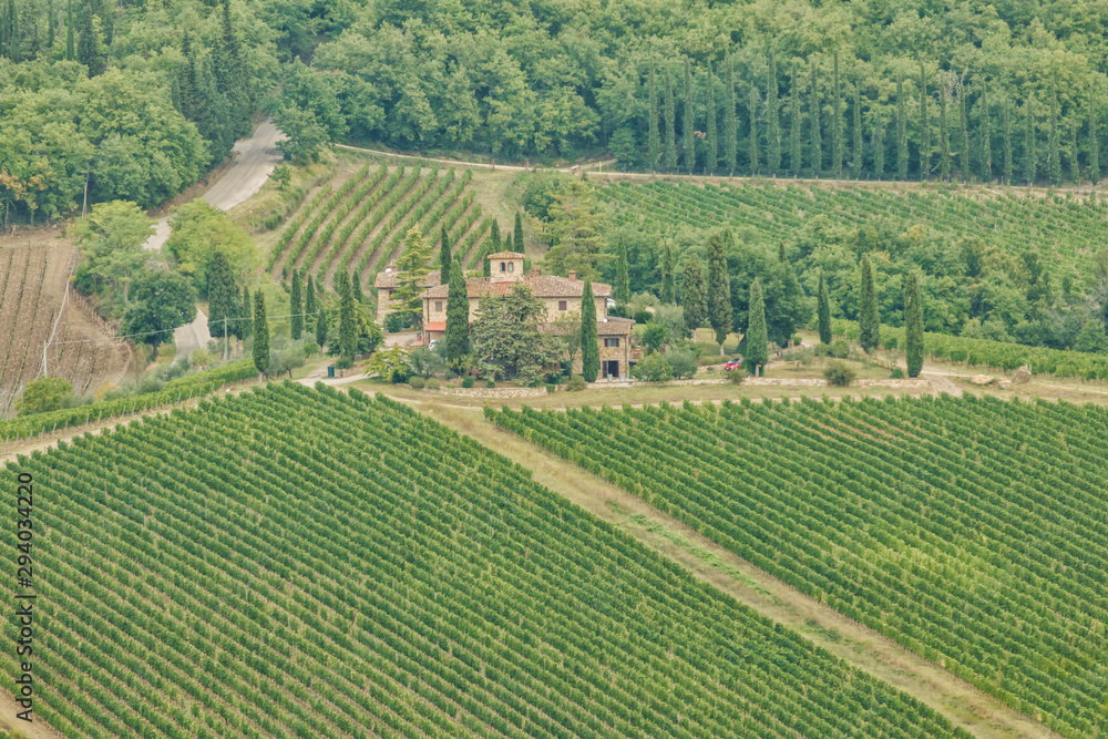 Panoramic beautiful view of residential areas Radda in Chianti and vineyards and olive trees in the Chianti region, Tuscany, Italy