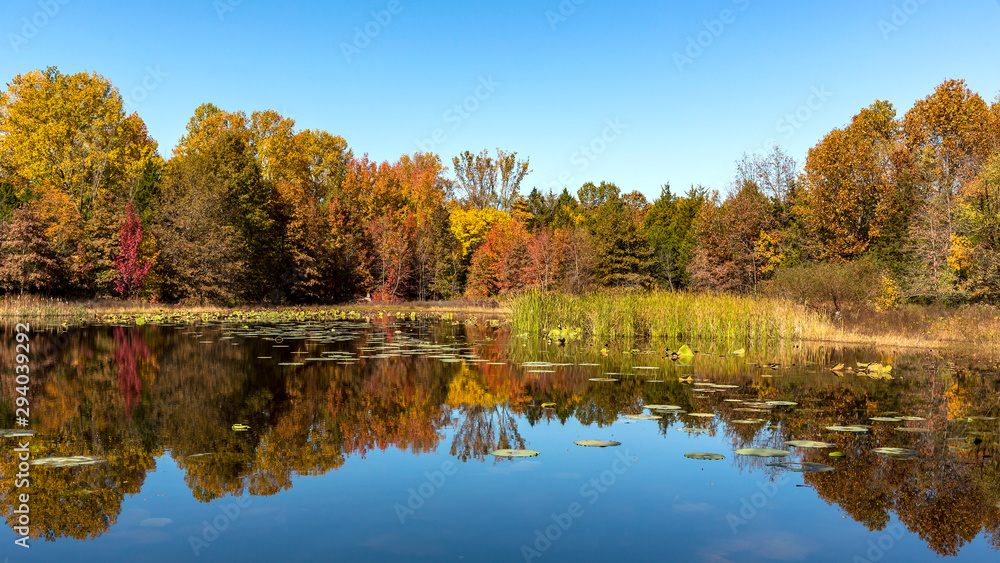 lake shore line with reflected trees with autumn colors