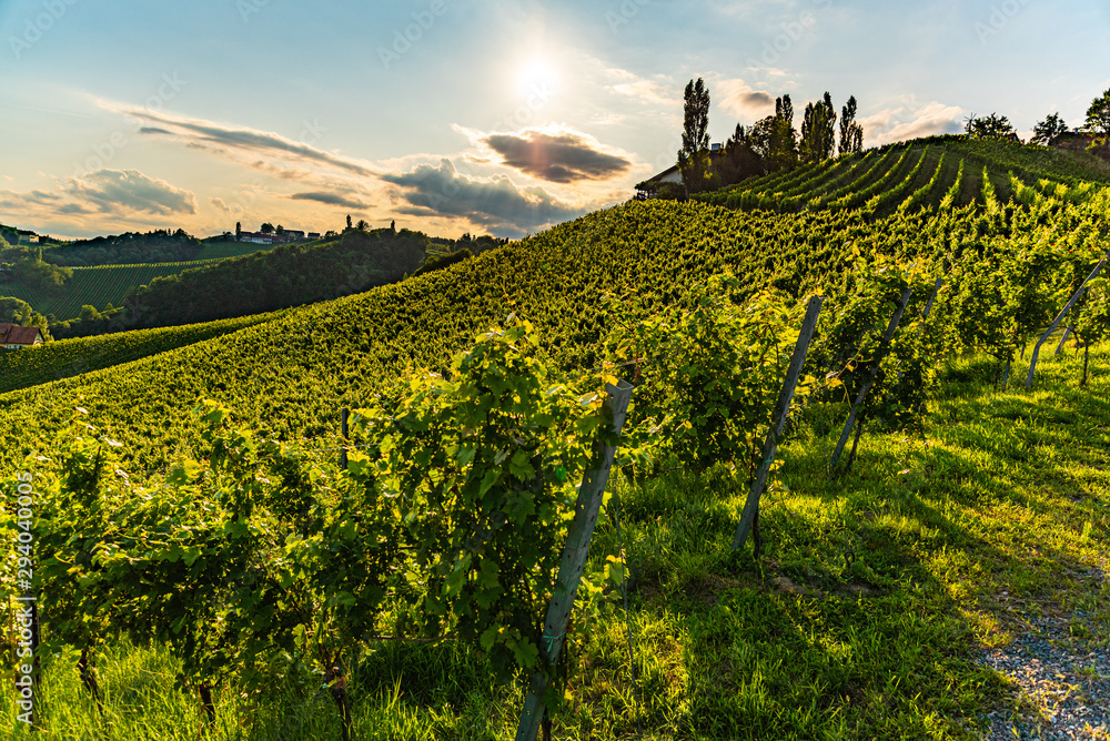 View from famous wine street in south styria, Austria on tuscany like vineyard hills. Tourist destination