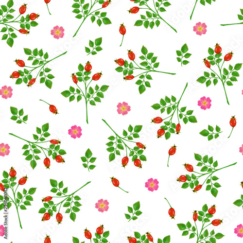 Wallpaper Mural Seamless pattern with wild rose flowers, rosehip and branches Torontodigital.ca
