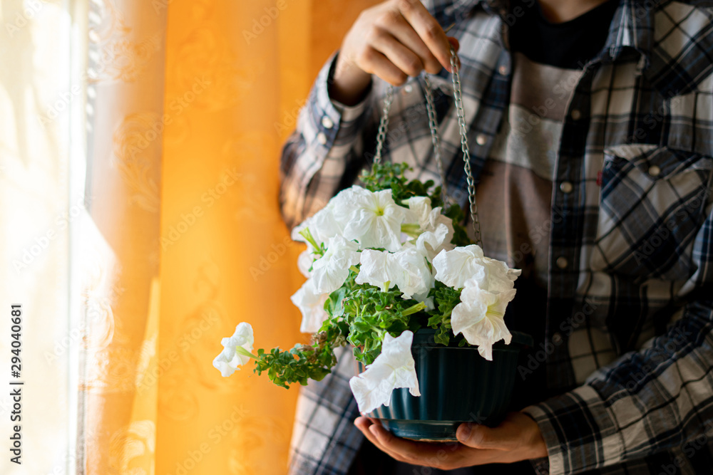 close up person holding a pot with a flower plant indoor at home