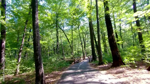 Bicycling in park through forest on bike road