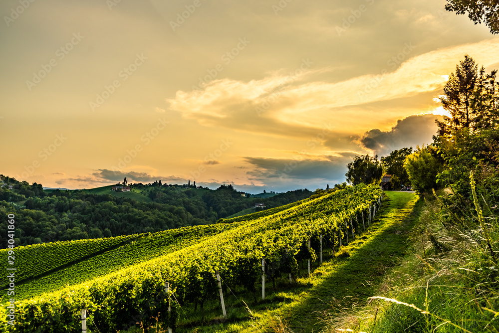 View from famous wine street in south styria, Austria on tuscany like vineyard hills. Tourist destination