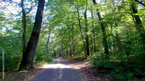 Bicycling in park through forest on bike road