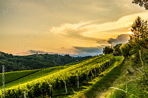 View from famous wine street in south styria, Austria on tuscany like vineyard hills. Tourist destination