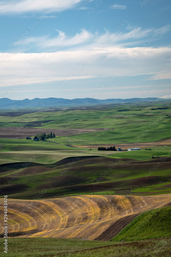 Farms dot the rolling hills of farmland in the Palouse region of Washington state. Some fields are planted with young plants growing green, some are fallow adding to interesting landscape. Farms dot the rolling hills of farmland in the Palouse region of Washington state. Some fields are planted with young plants growing green, some are fallow adding to interesting landscape.