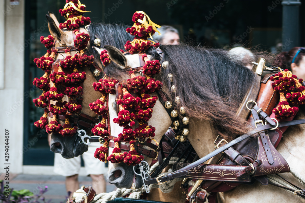 Horses traditionally decorated for the fair