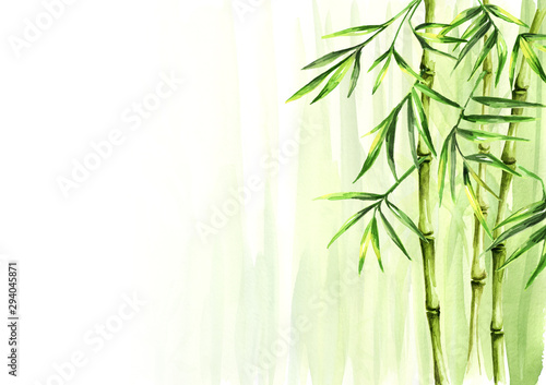 Green bamboo background, Asian rainforest. Watercolor hand drawn  isolated illustration