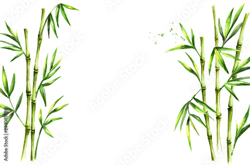 Fototapeta Naklejka Na Ścianę i Meble -  Green bamboo background, stems and leaves, Asian rainforest. Watercolor hand drawn  isolated illustration