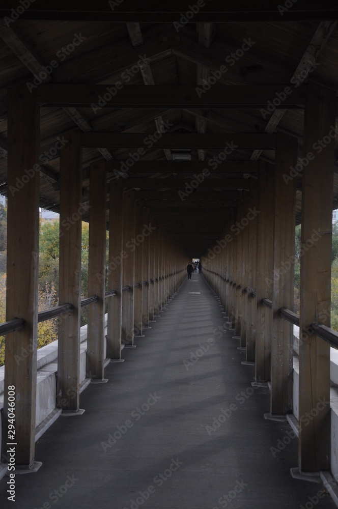 Corridor of the Rostokinsky aqueduct of wooden piles and roofs