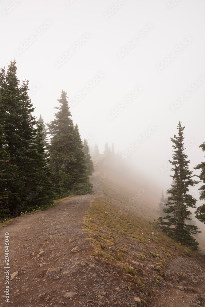 Trails along the top of mountain ridge at Greener Slopes Hurricane Ridge Olympic National Park Trails along the top of mountain ridge at Greener Slopes Hurricane Ridge Olympic National Park