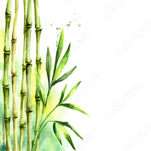 Green bamboo stems. Watercolor hand drawn illustration  and  background