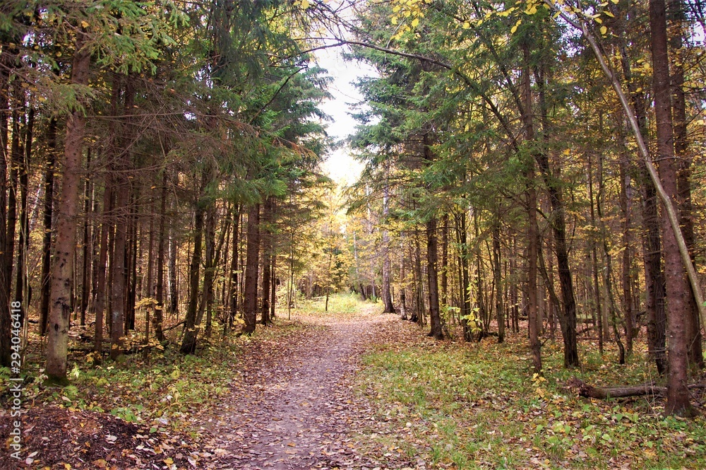 Obraz premium calm autumn landscape natural colors
