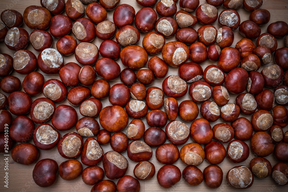 Autumn harvest. chestnuts on a light recycled wooden background, Top view Autumn harvest. chestnuts on a light recycled wooden background, Top view