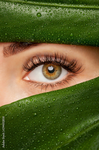 Canvas Print Beautiful Woman with long lashes on the background of a leaf of monstera with water droplets