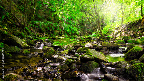 Picturesque mountain stream in a deep spring forest - Magurski National Park in Carpathian Mountain Range.