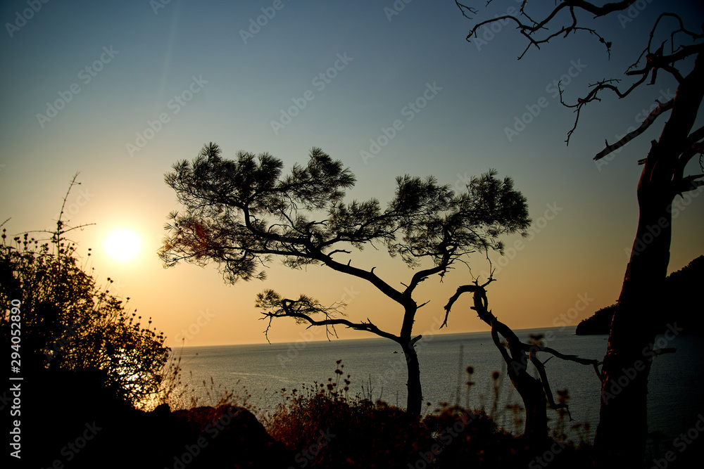 Sunrise above sea and pine tree with blue sea background Turkey Sunrise above sea and pine tree with blue sea background Turkey