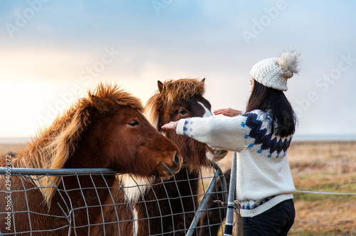 Foto Traveler making friends with adorable Icelandic horses