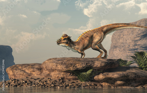 A brown Pachycephalosaurus stands by an arid lake. Pachycephalosaurus known for it s thick skull  was an dinosaur of the Cretaceous in North America. 3D Rendering