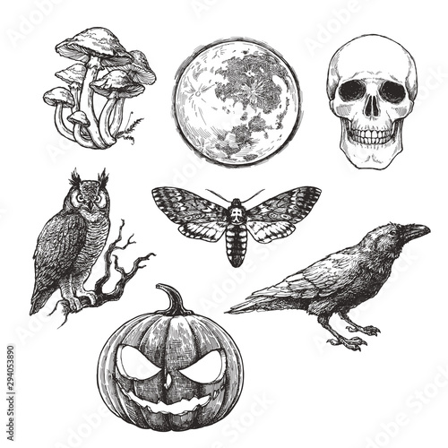 Vector vintage set of Halloween symbols in engraving style. Hand drawn illustration with skull, pumpkin, full moon, raven, death head moth and owl isolated on white
