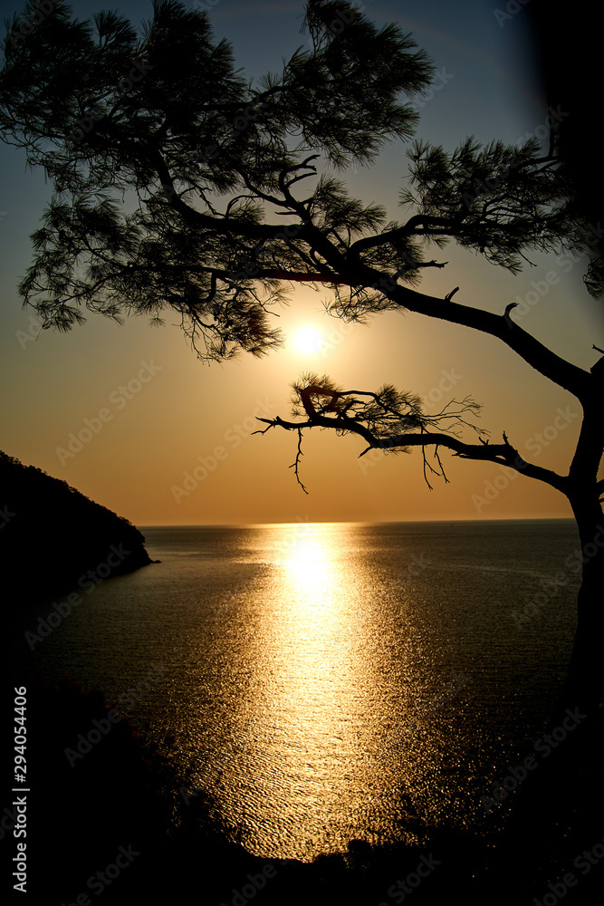 Sunrise above sea and pine tree with blue sea background Turkey Sunrise above sea and pine tree with blue sea background Turkey