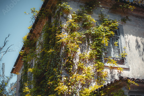фотографія A beautiful corner of an abandoned antique residential house in Sintra, Portugal