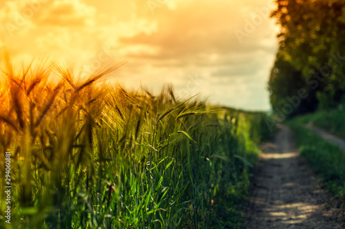 Countryside landscape