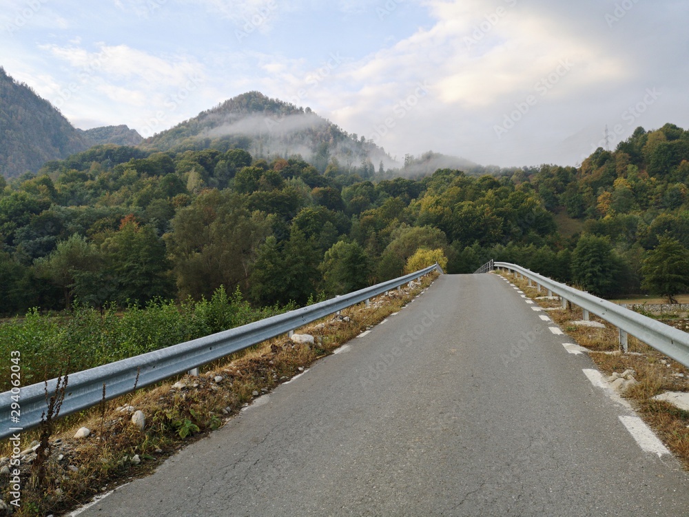 Road in the mountains - Cozia 