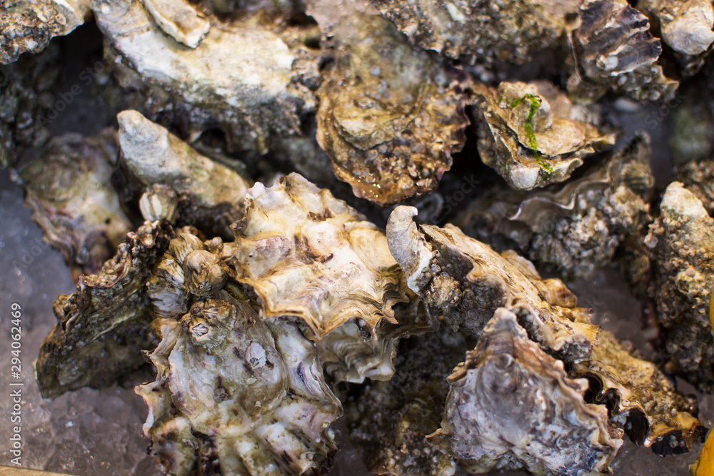 Seafood, oysters.