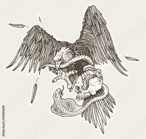 Eagle vs snake in skull in vector. Hand drawn illustration.