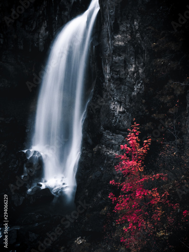 cascada seda con arbol rojo de oto  o