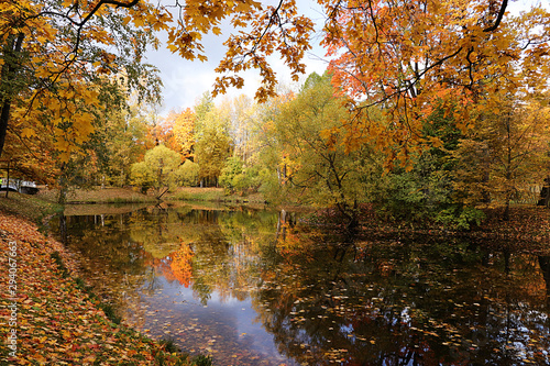 October autumn park in Russia, lake with red leaves and reflection in the lake, Alexander Park, Tsarskoye Selo, Leningrad Region. Beautiful autumn landscape in the park,